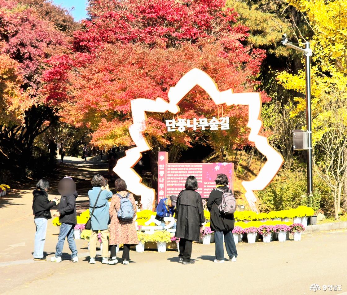 단풍나무숲길 성명