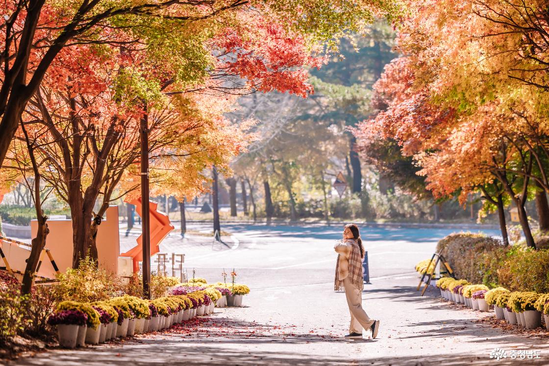 햇살아래 걷기 좋은 산책길