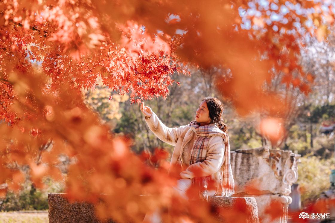 조선총독부쪽 단풍