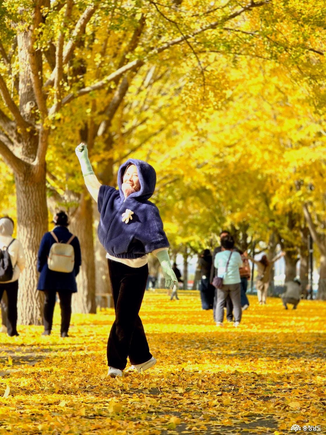 추워도 행복했던 은행나무길