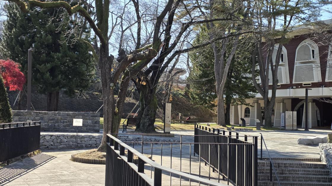 충청남도 역사박물관 앞 풍경, 낙옆이 떨어진 모습