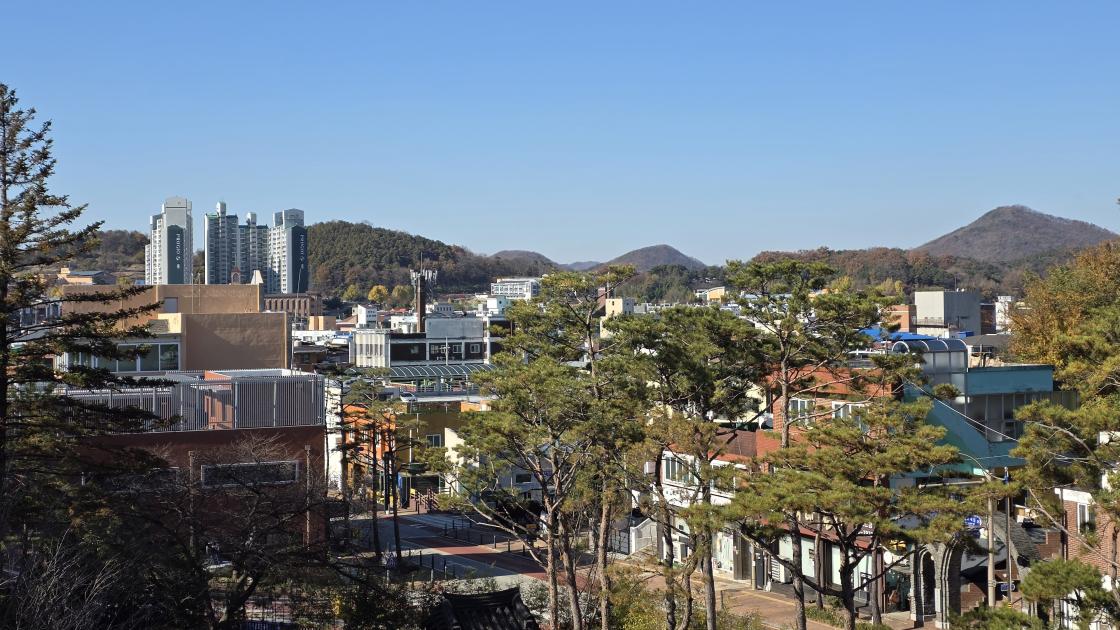 충청남도 역사박물관에서 볼 수 있는 풍경, 낙옆으로 물든 세상