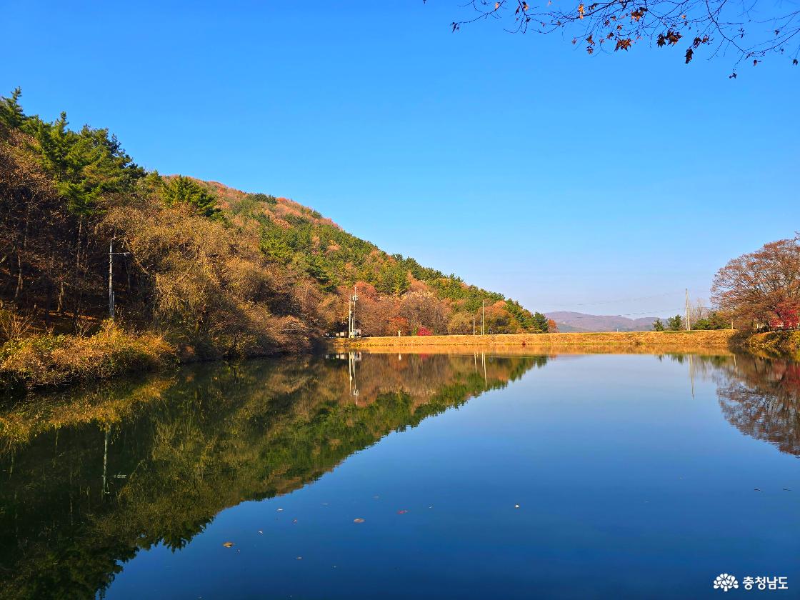 &ldquo;맑고 깊은 파란 하늘 아래, 잔잔한 저수지 수면에 산의 능선과 나무들이 그대로 비치고 있다. 왼쪽은 소나무와 갈색빛 나무가 섞인 산자락이 이어지고, 가운데는 제방처럼 보이는 일직선의 둑이 있다. 오른쪽에는 잎이 거의 떨어진 큰 나무가 서 있으며, 전체적으로 고요하고 청명한 가을 풍경이 펼쳐져 있다