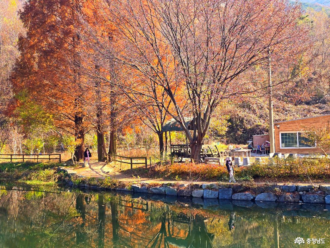 가을빛이 짙은 큰 나무들과 나무 아래 산책길이 보이고, 저수지 수면에는 단풍과 나무들이 고요하게 반사되어 있다. 두 사람이 나무 사이 산책길을 걸어가고 있으며, 오른쪽에는 나무 아래 작은 정자와 나무 건물이 자리하고 있다. 전체적으로 따뜻한 햇살이 내려앉은 고요한 가을 풍경이다.