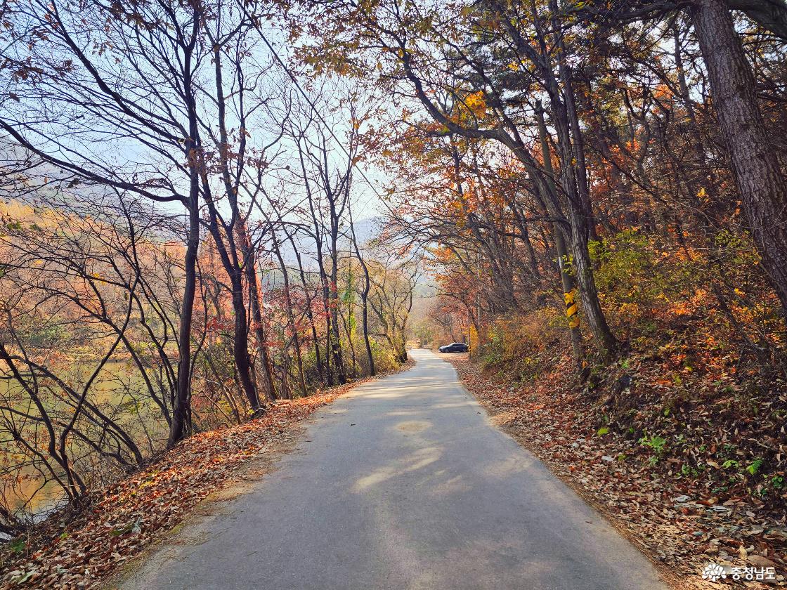 양옆으로 가을빛 나무들이 늘어선 산길이 부드럽게 이어지고 있다. 왼쪽 아래로는 저수지가 보이며, 오른쪽은 낙엽이 쌓인 숲길이 이어진다. 햇살이 은은하게 비추며 전체적으로 고요하고 산뜻한 가을 산책 분위기가 느껴진다.