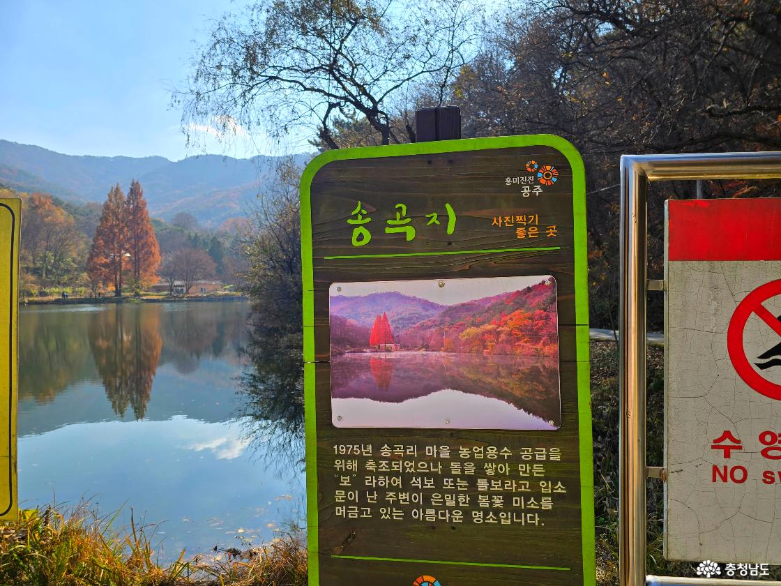 송곡지 안내판이 저수지 앞에 세워져 있으며, 안내판에는 &lsquo;사진 찍기 좋은 곳&rsquo;이라는 문구와 함께 붉은 메타세쿼이아 나무가 있는 풍경 사진이 붙어 있다. 뒤쪽으로는 저수지 수면에 산과 나무들이 고요하게 반사되고, 멀리 가을빛 산자락이 펼쳐져 있다