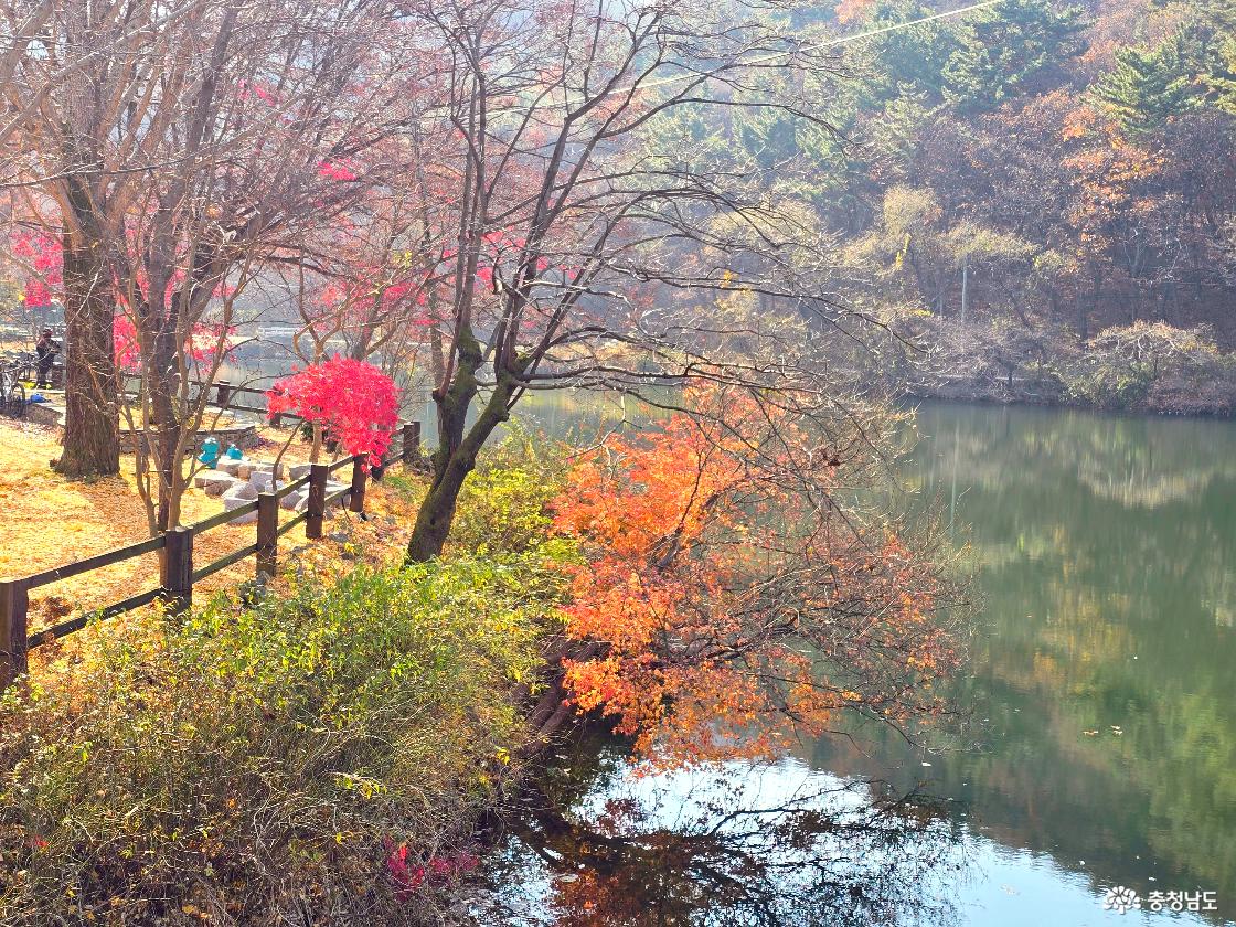 가을빛으로 물든 나무들이 저수지 가장자리를 따라 늘어서 있고, 붉은 단풍과 주황빛 잎들이 물가에 가까이 드리워져 있다. 왼쪽에는 작은 쉼터와 벤치가 보이며, 잔잔한 저수지 수면에는 주변 숲의 색감이 은은하게 반사된다. 전체적으로 따뜻하고 고요한 가을 풍경이다