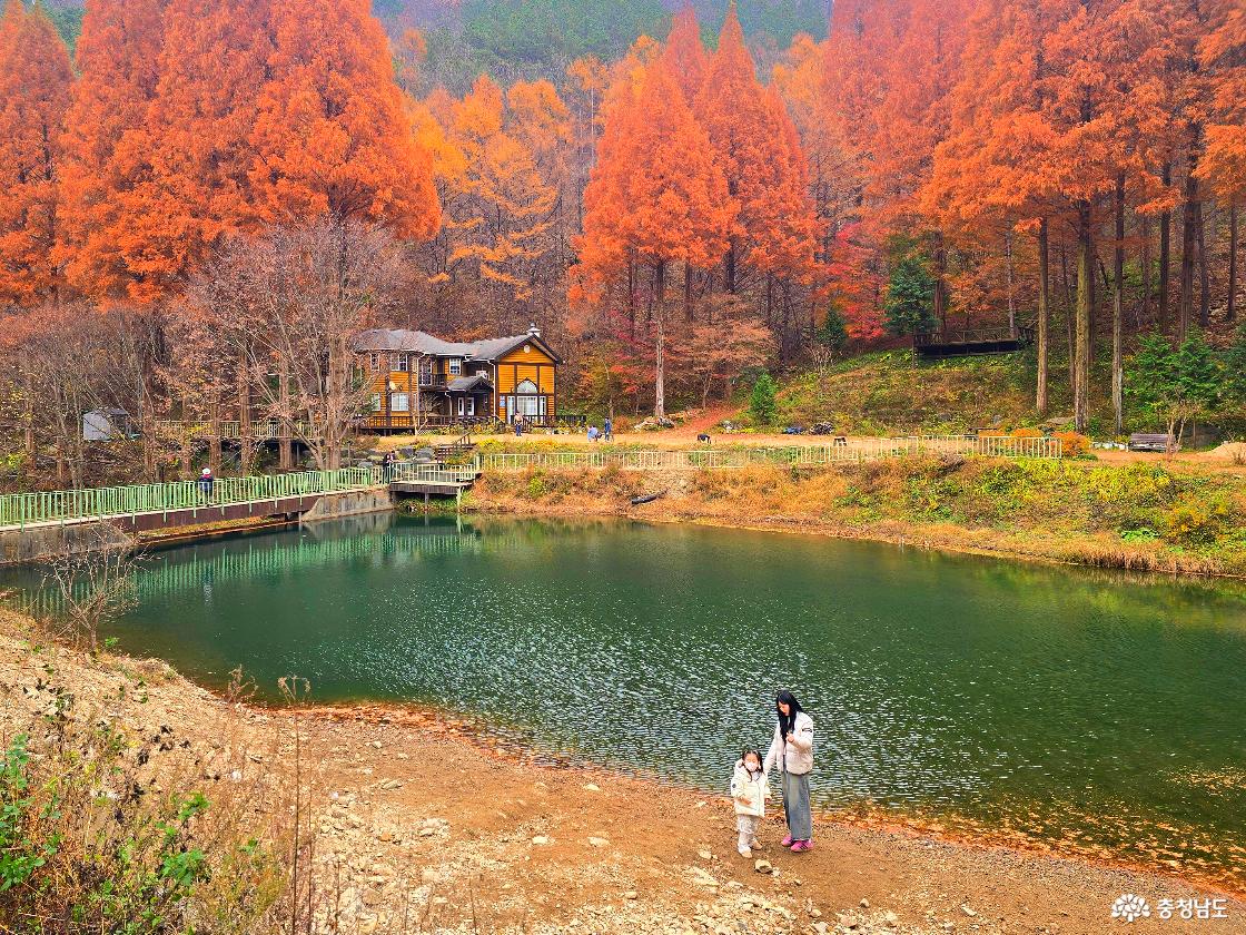 초록빛 호수 앞에서 한 여성과 어린아이가 함께 서 있다. 호수 건너편에는 노란색과 갈색이 조화를 이룬 작은 목조 건물이 자리하고 있으며, 그 뒤로는 붉게 물든 메타세쿼이아 숲이 높게 솟아 있다. 주변은 가을빛으로 물들어 평온하고 따뜻한 분위기가 감돈다.