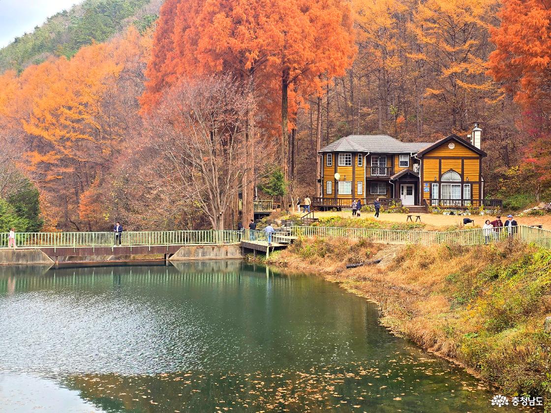 가을빛으로 물든 숲속 저택과 작은 호수를 담은 풍경이다. 호수 오른쪽에는 갈색과 붉은빛으로 물든 큰 메타세쿼이아 나무들이 줄지어 서 있고, 그 아래에는 노란색과 갈색 외관의 2층 목조 건물이 자리하고 있다. 건물 앞쪽과 호수 주변에는 걷거나 사진을 찍는 여러 사람들의 모습이 보인다. 호수 수면은 초록빛을 띠며 주변 나무들이 희미하게 반사되어 있다.