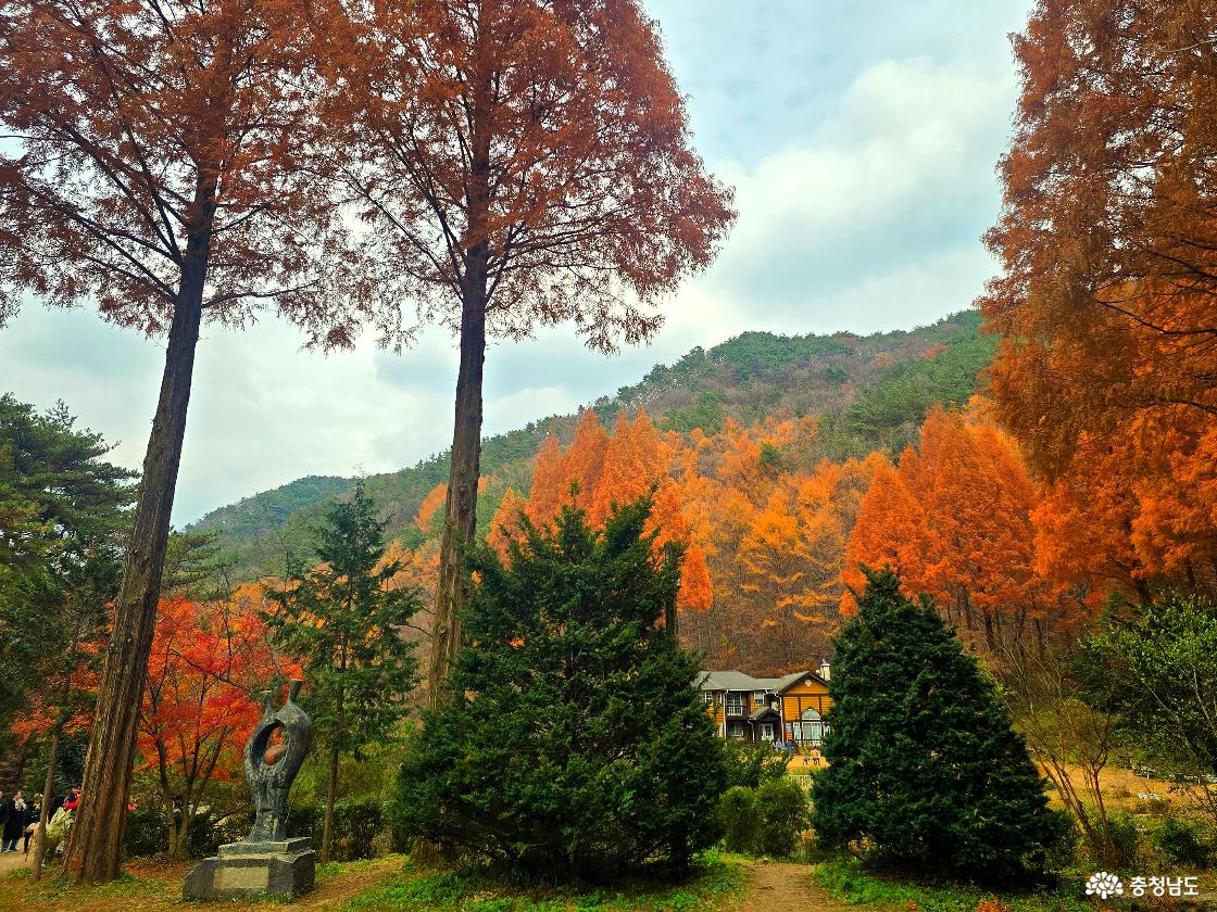 늦가을 온빛자연휴양림의 풍경으로, 붉게 물든 메타세쿼이아 숲이 산자락을 따라 빼곡히 서 있고 그 아래로 짙은 녹색의 작은 연못과 갈색 흙길이 펼쳐져 있다. 연못 건너편에는 노란색 외벽의 2층 목조 건물이 자리해 있으며, 주변에는 산책을 즐기는 사람들이 드문드문 보인다. 앞쪽에는 짙은 초록색의 관목과 조형물이 배치되어 있어 자연 풍경과 어우러진다.