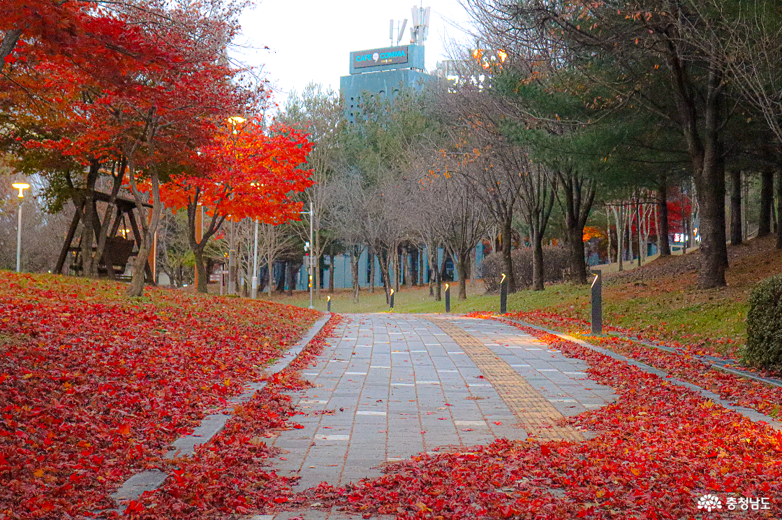 ▲ 천안예술공원