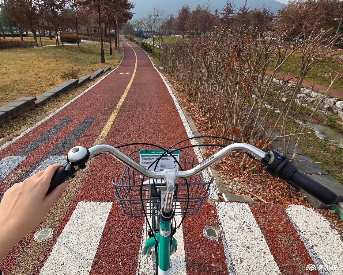 자전거도로를 달리는 내포씽