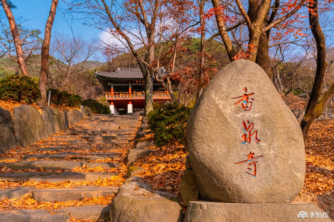 향천사 단풍 가장 늦은 가을을 느껴보세요