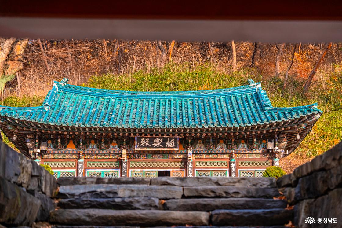 향천사 단풍 가장 늦은 가을을 느껴보세요