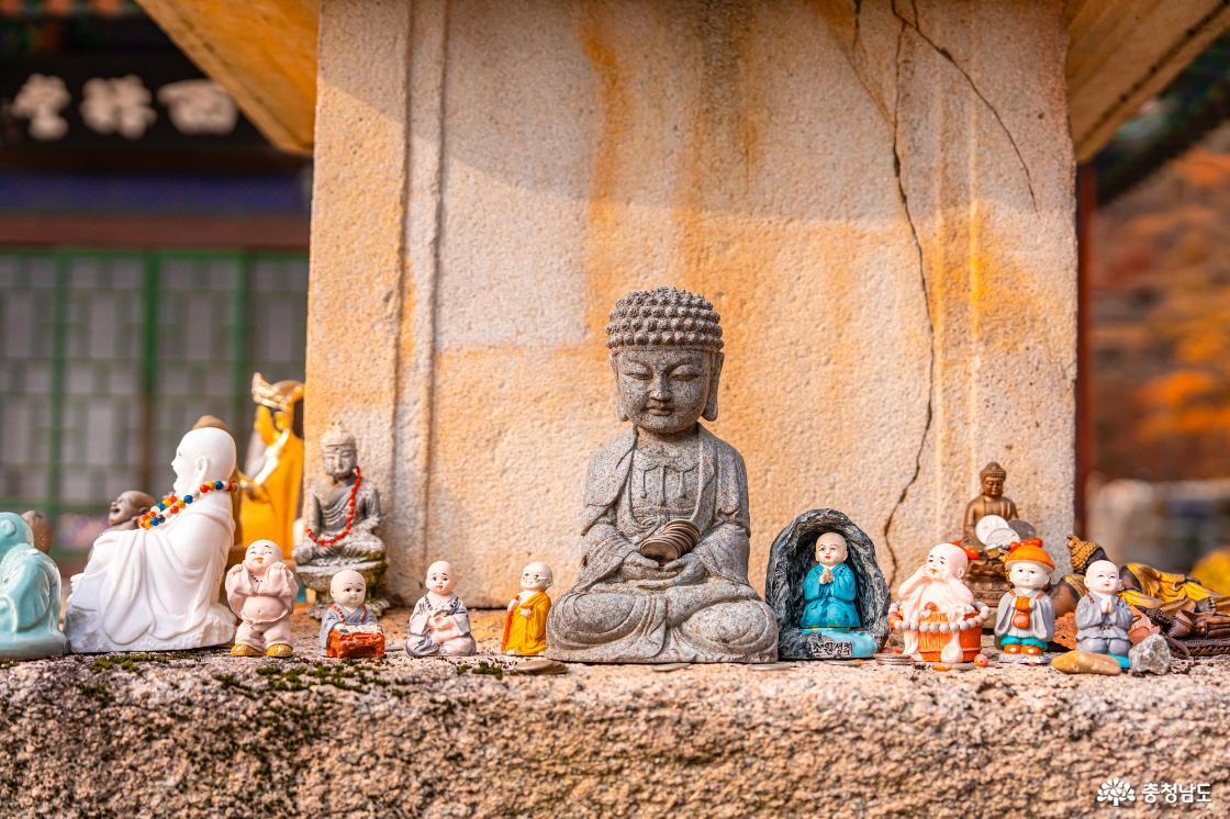 향천사 단풍 가장 늦은 가을을 느껴보세요