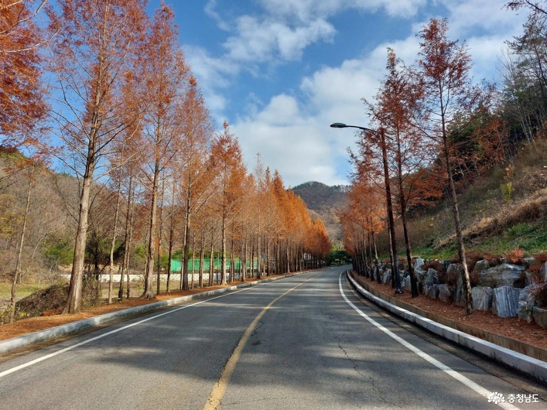 양촌 자연휴양림 입구