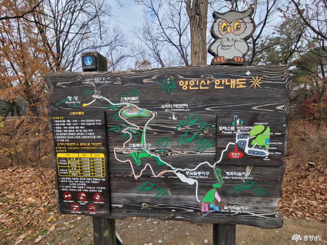 아산 영인산자연휴양림 산책코스 후기｜수목원·온실·숲길까지 한 번에 즐긴 힐링 여행