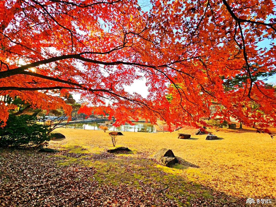 충무공의 숨결을 느끼며 아산 현충사 산책길