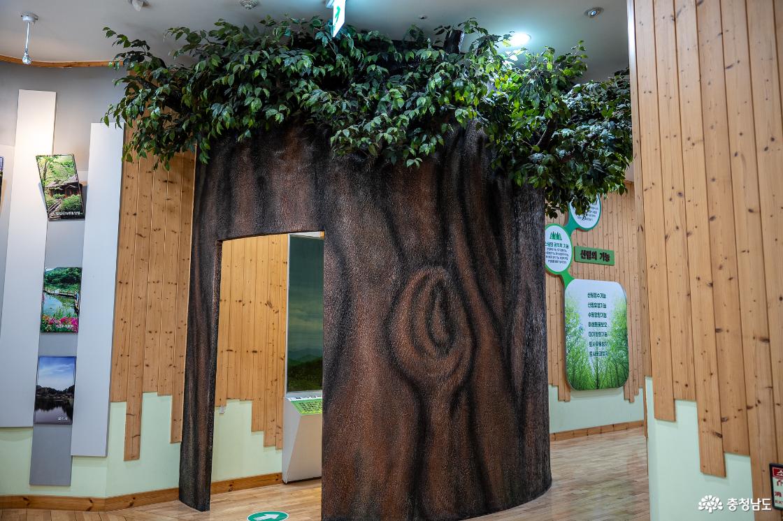 목재문화자연사체험관 1층