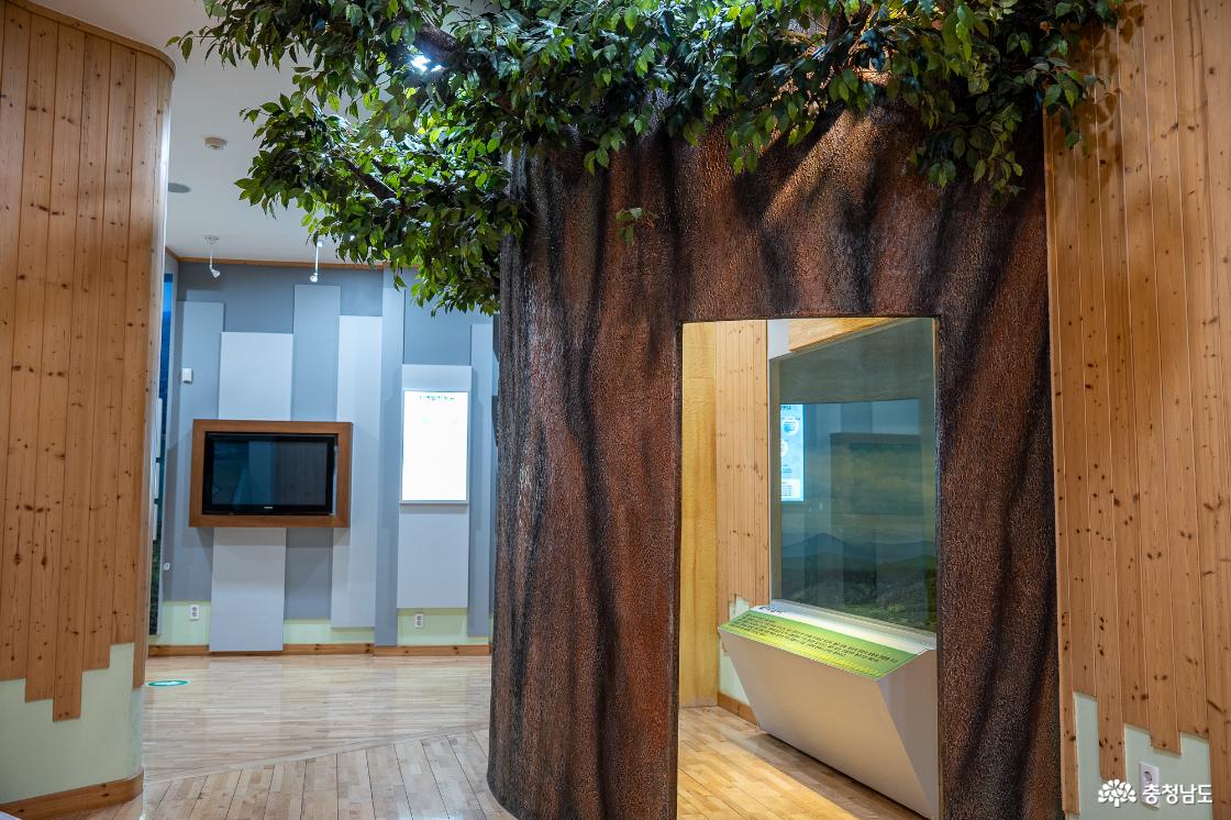 목재문화자연사체험관 1층