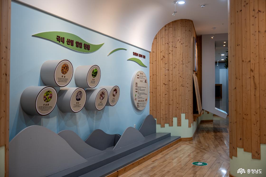 목재문화자연사체험관 1층