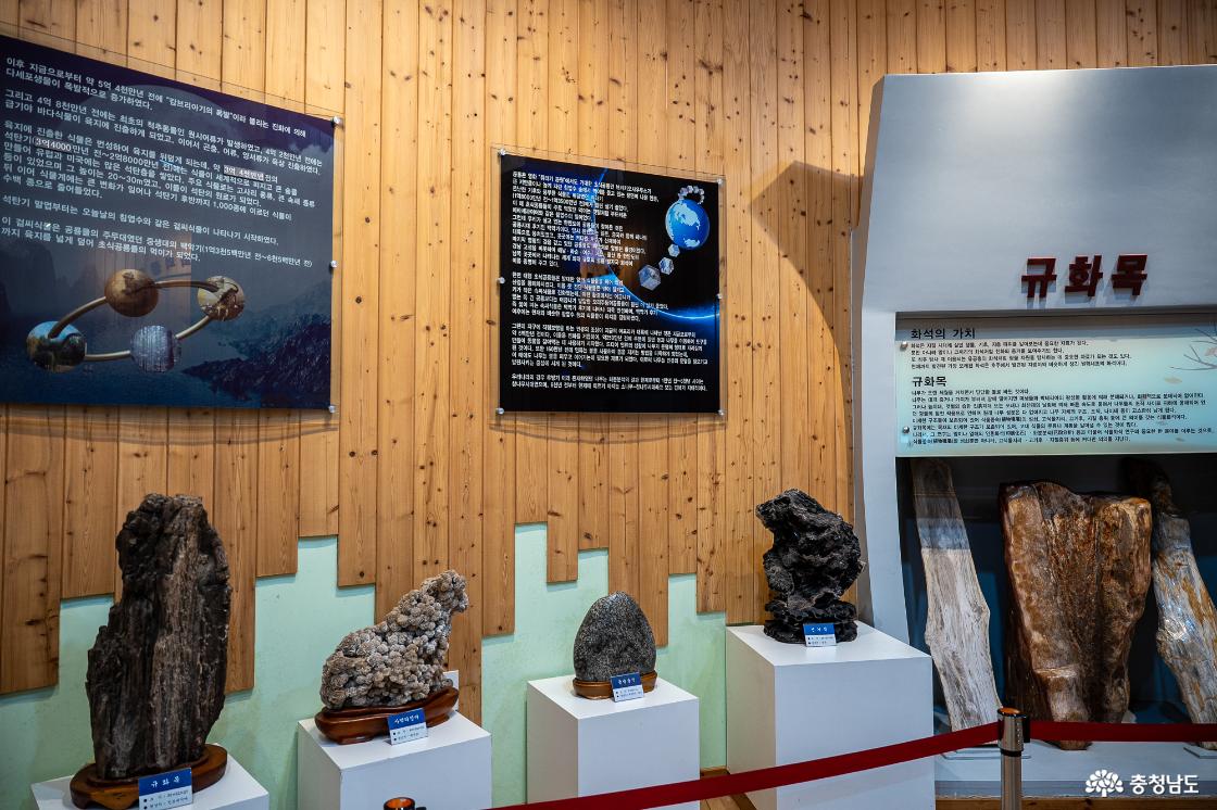 목재문화자연사체험관 1층