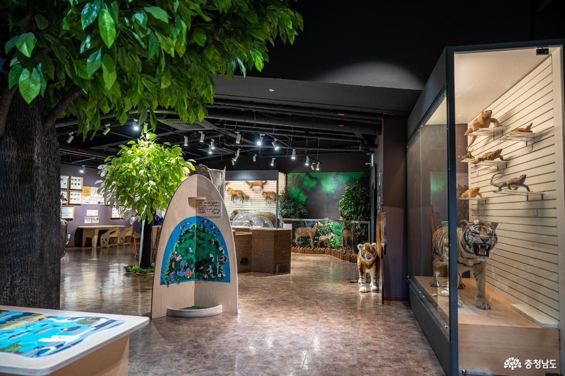 목재문화자연사체험관 2층