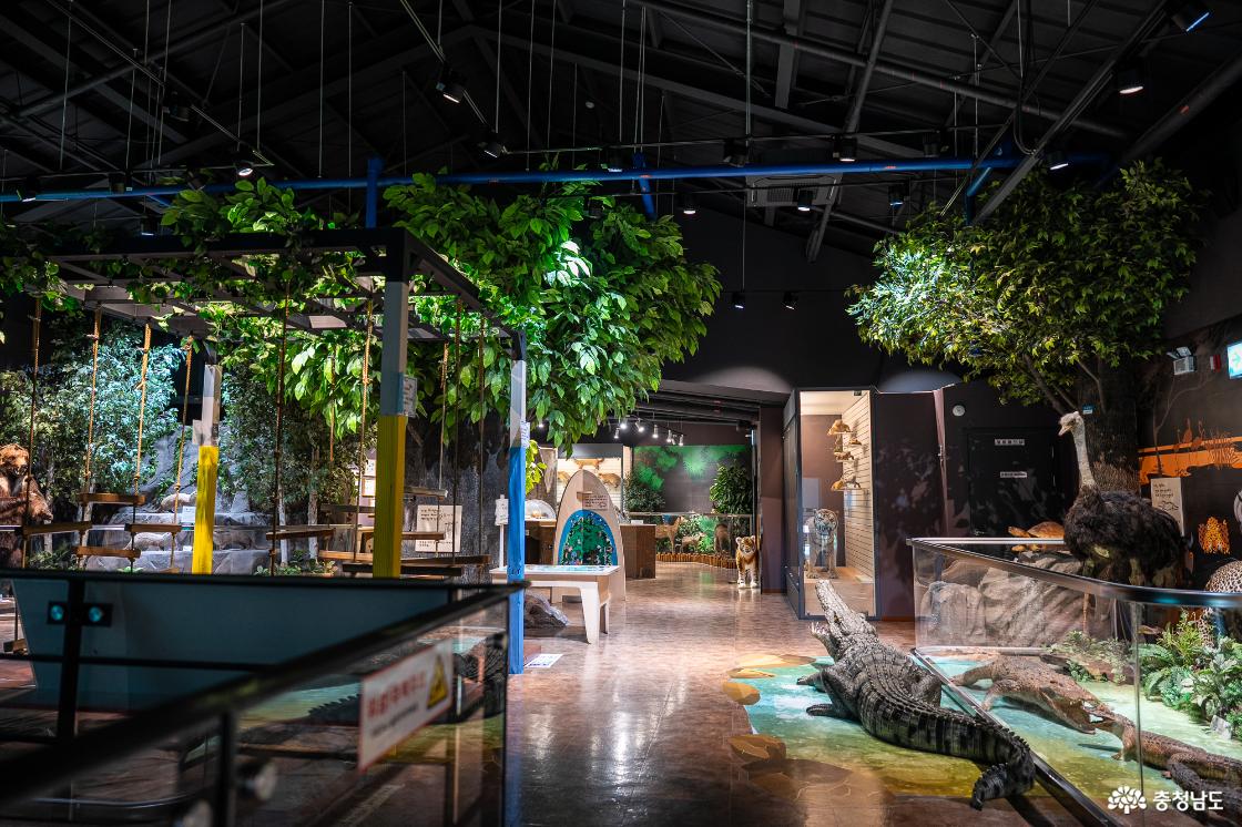 목재문화자연사체험관 2층