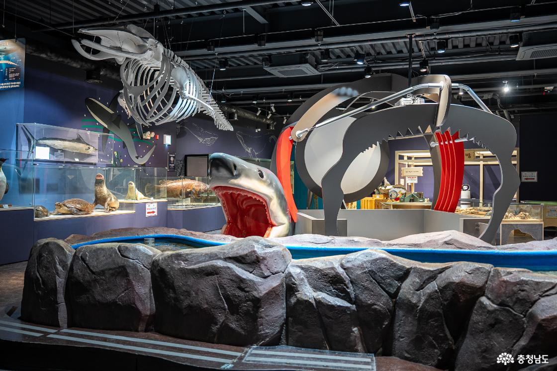 목재문화자연사체험관 2층