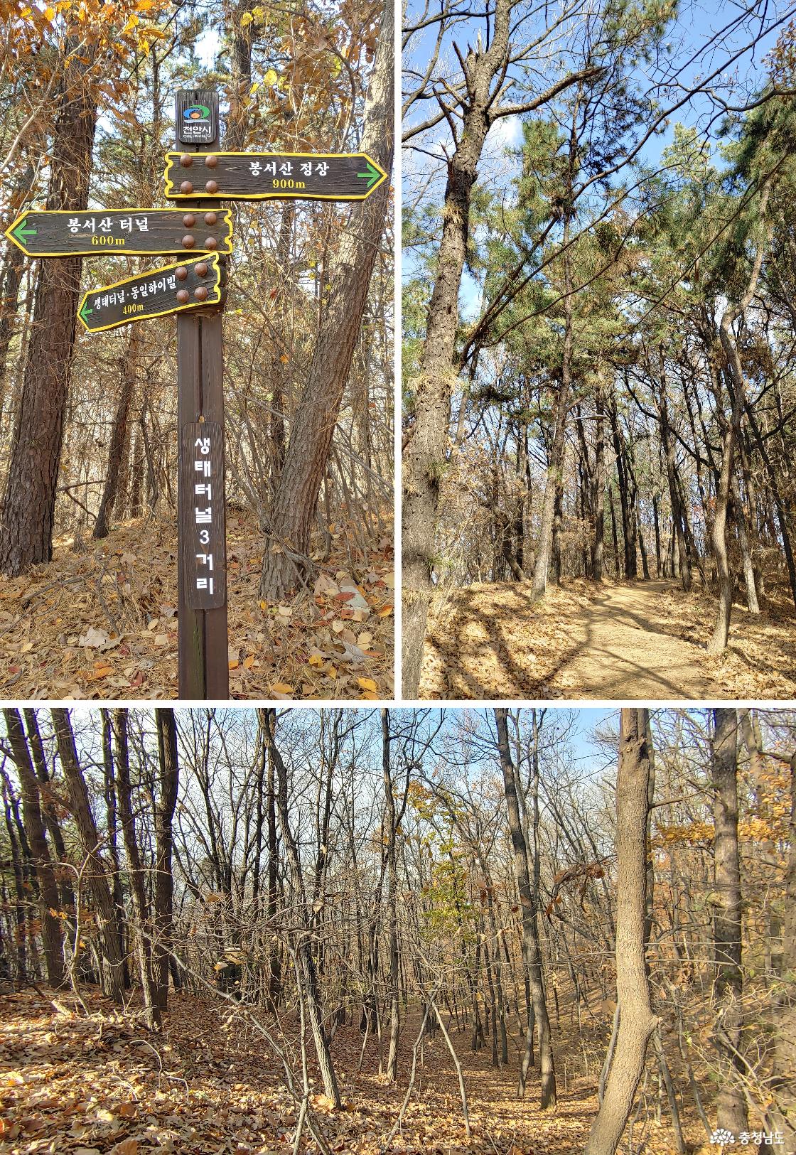 생태터널 삼거리