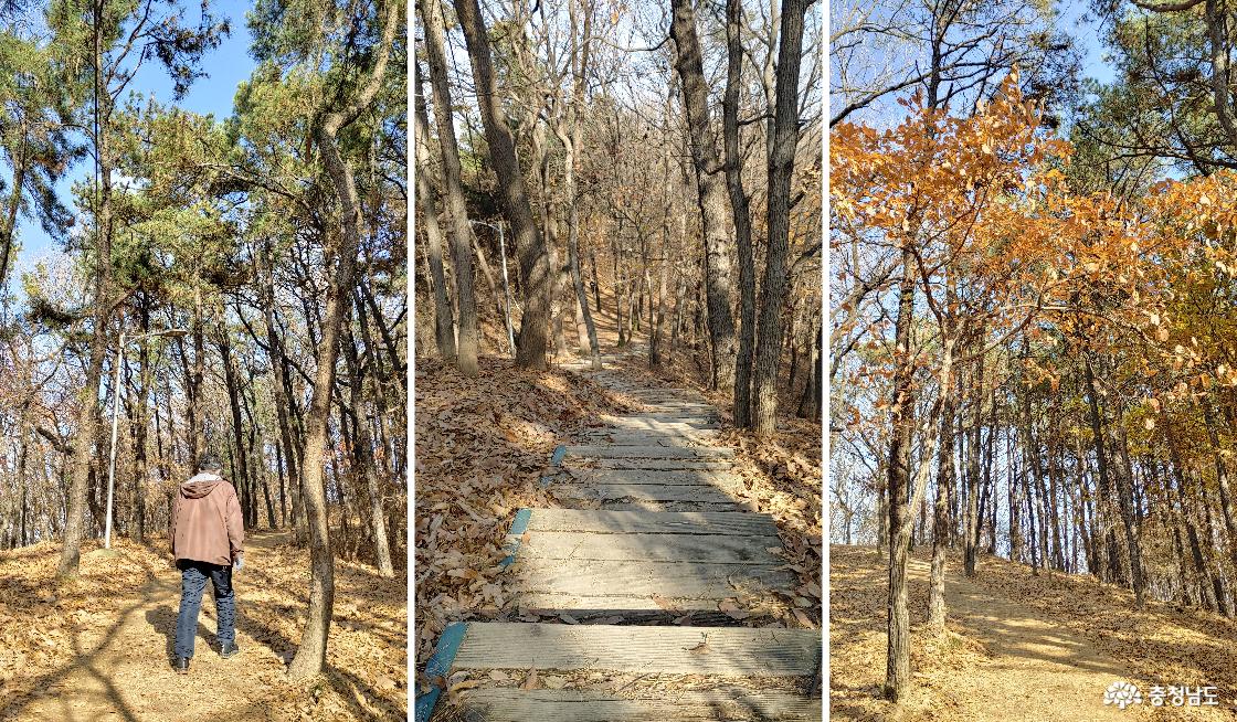 봉서산 오르막길 내리막길