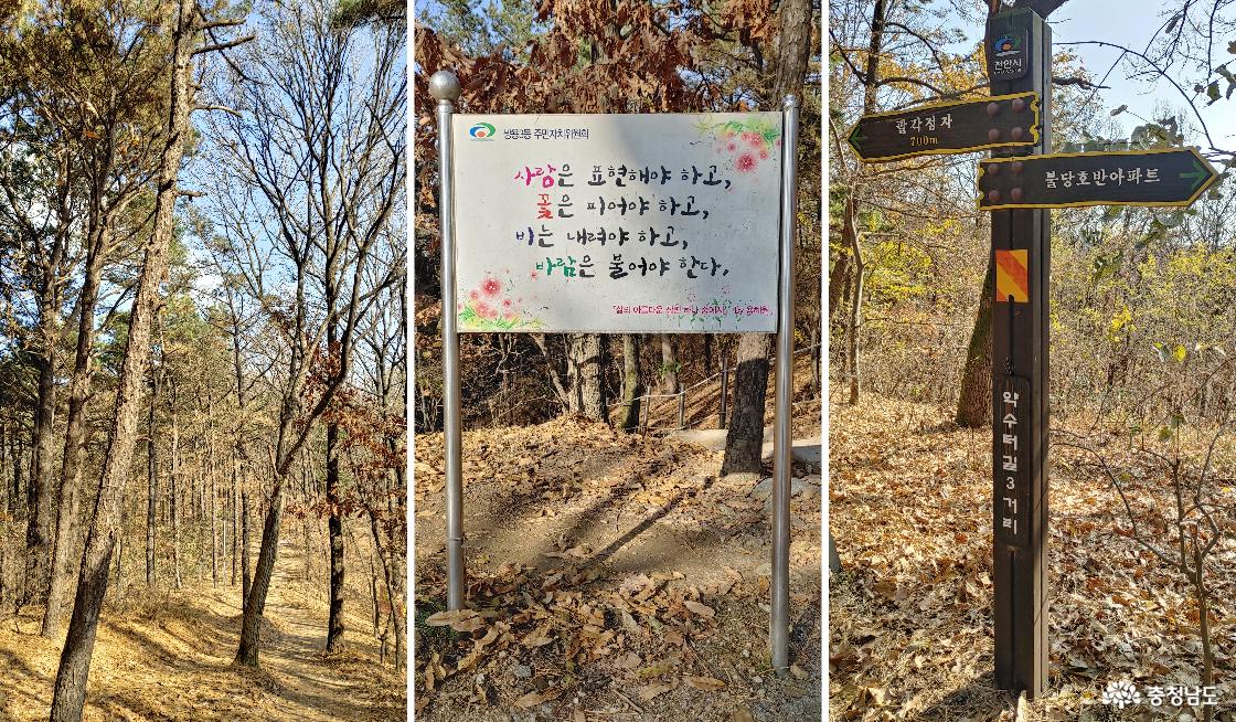 약수터길 삼거리