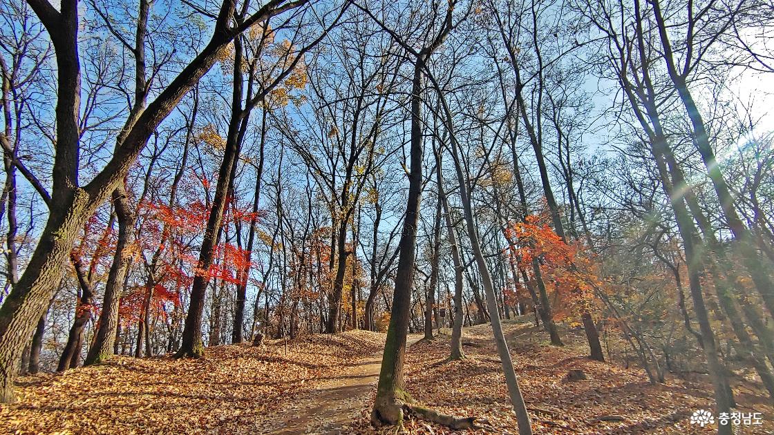 봉서산의 완만한 오르막길