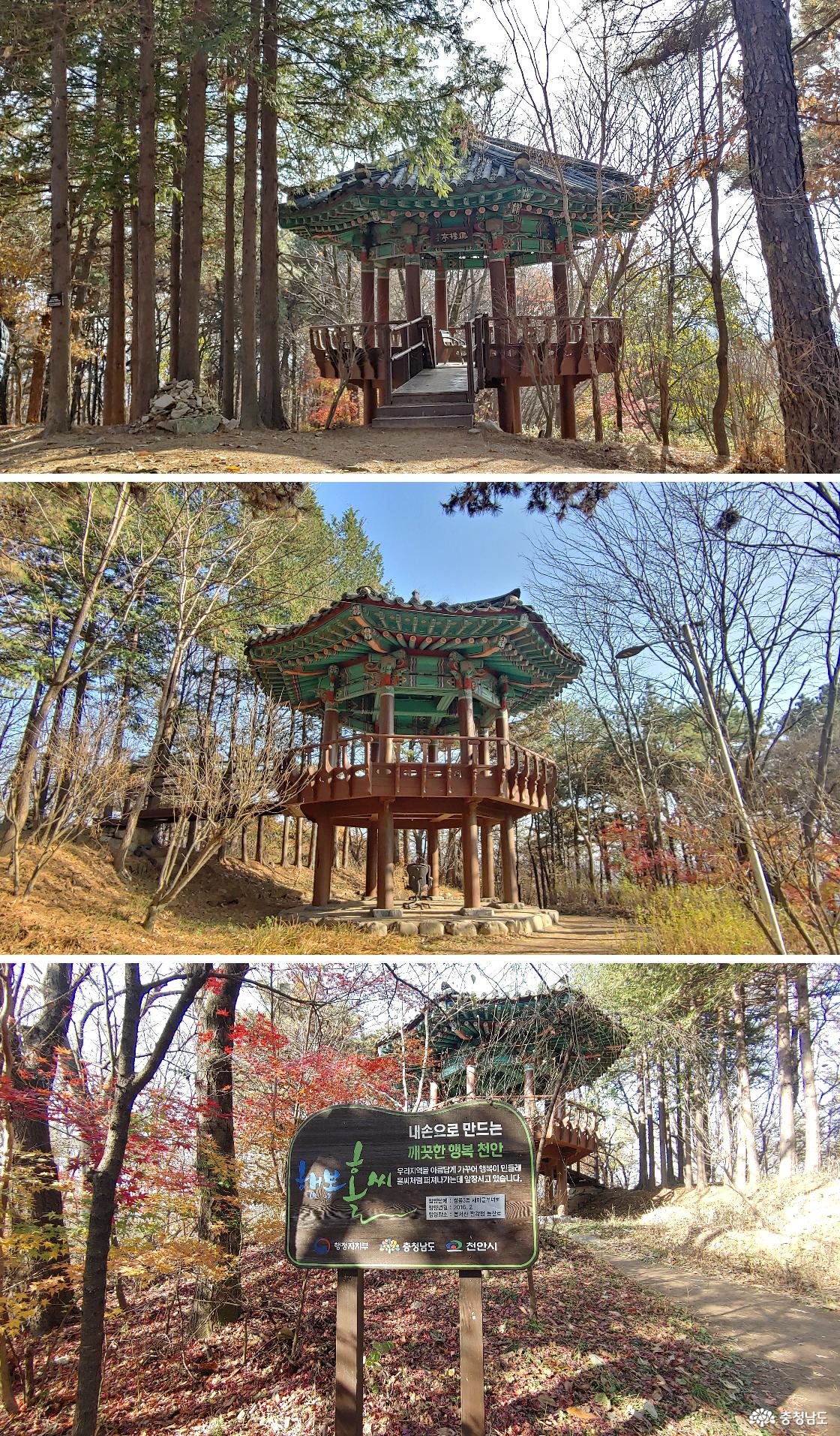 봉서산 팔각정자 '봉서정