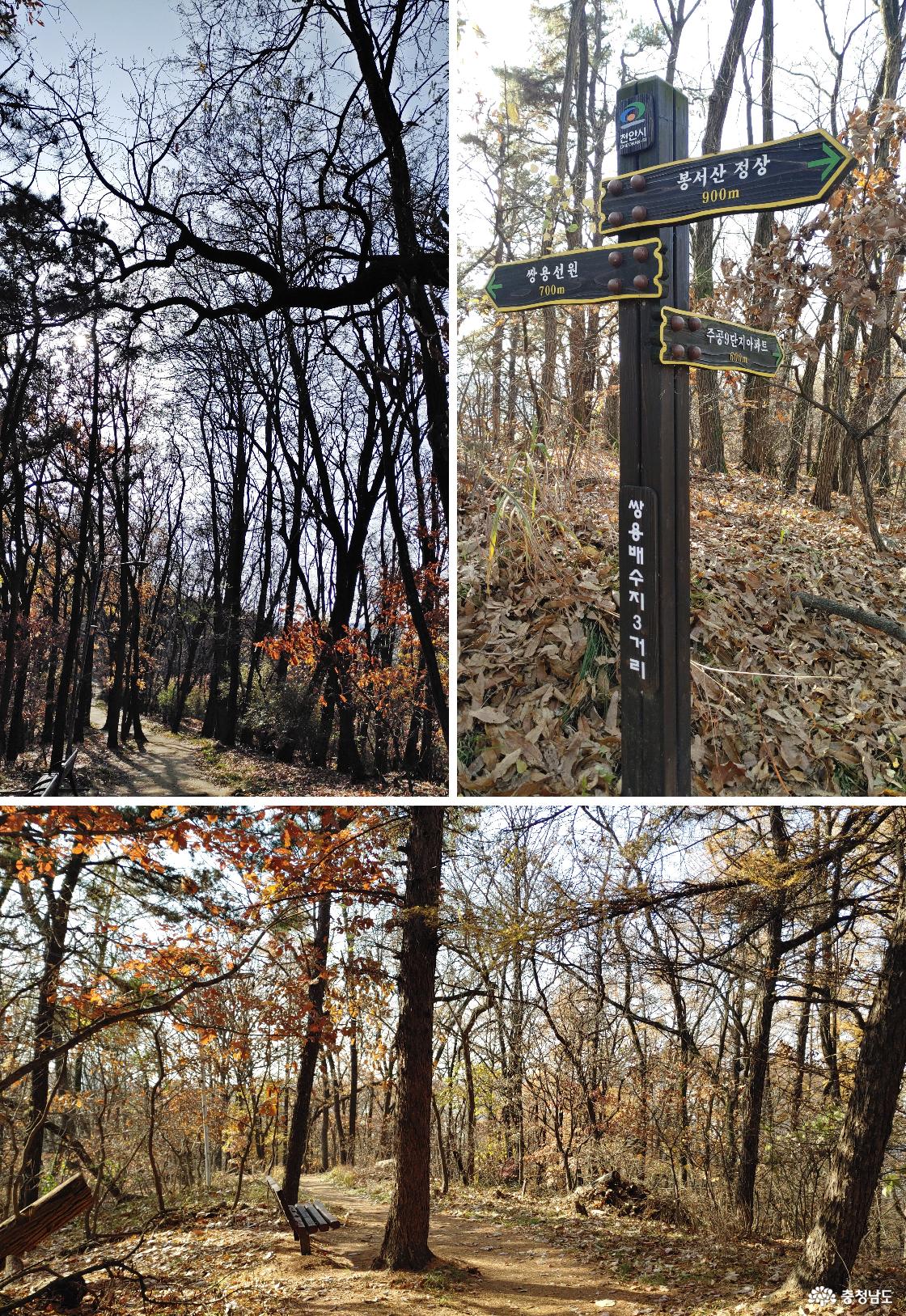 쌍용배수지 삼거리