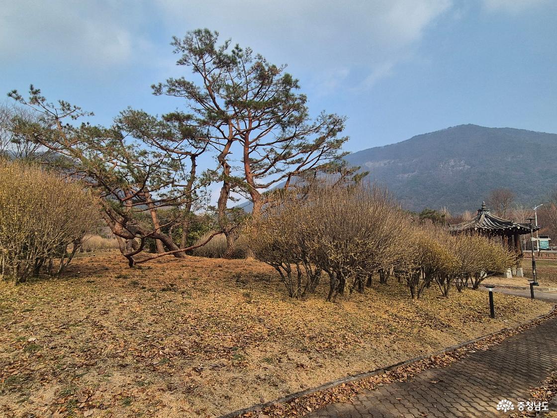 공원모습입니다