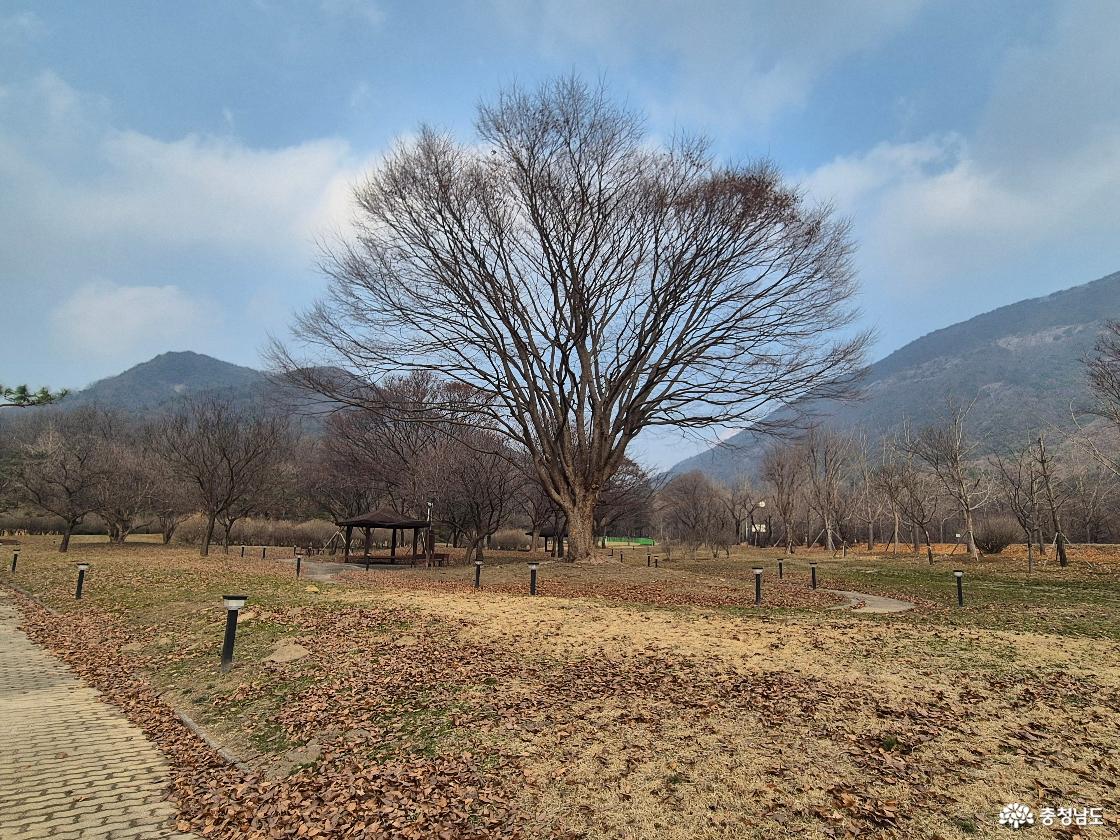 공원모습입니다