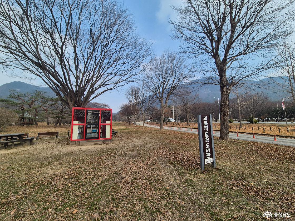 괴목정 숲속도서관입니다