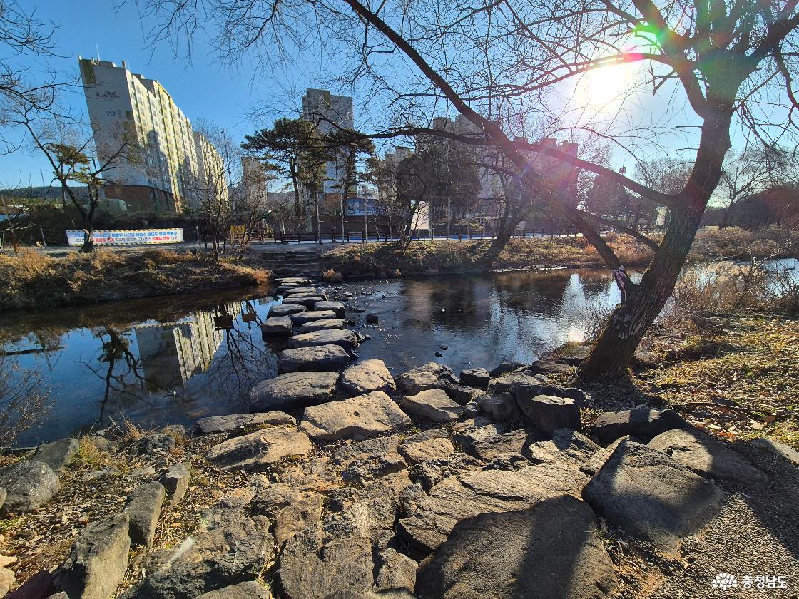 두계천 징검다리입니다
