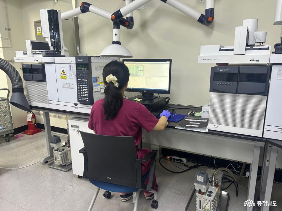 다소비 농산물 잔류농약 검사