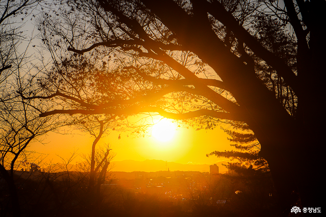 공세리성당 노을