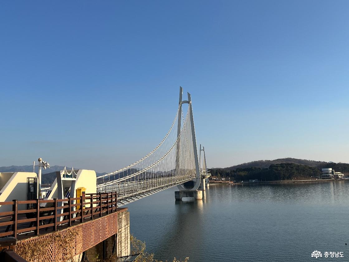 아이와 방문하기 좋은 무료 논산 관광지, 탑정호 출렁다리