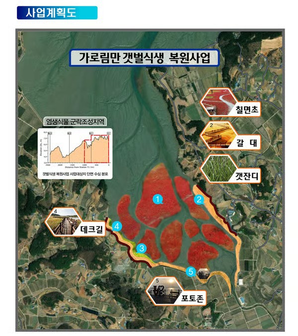 서산 가로림만&middot;태안 근소만 갯벌식생 복원 충청투데이