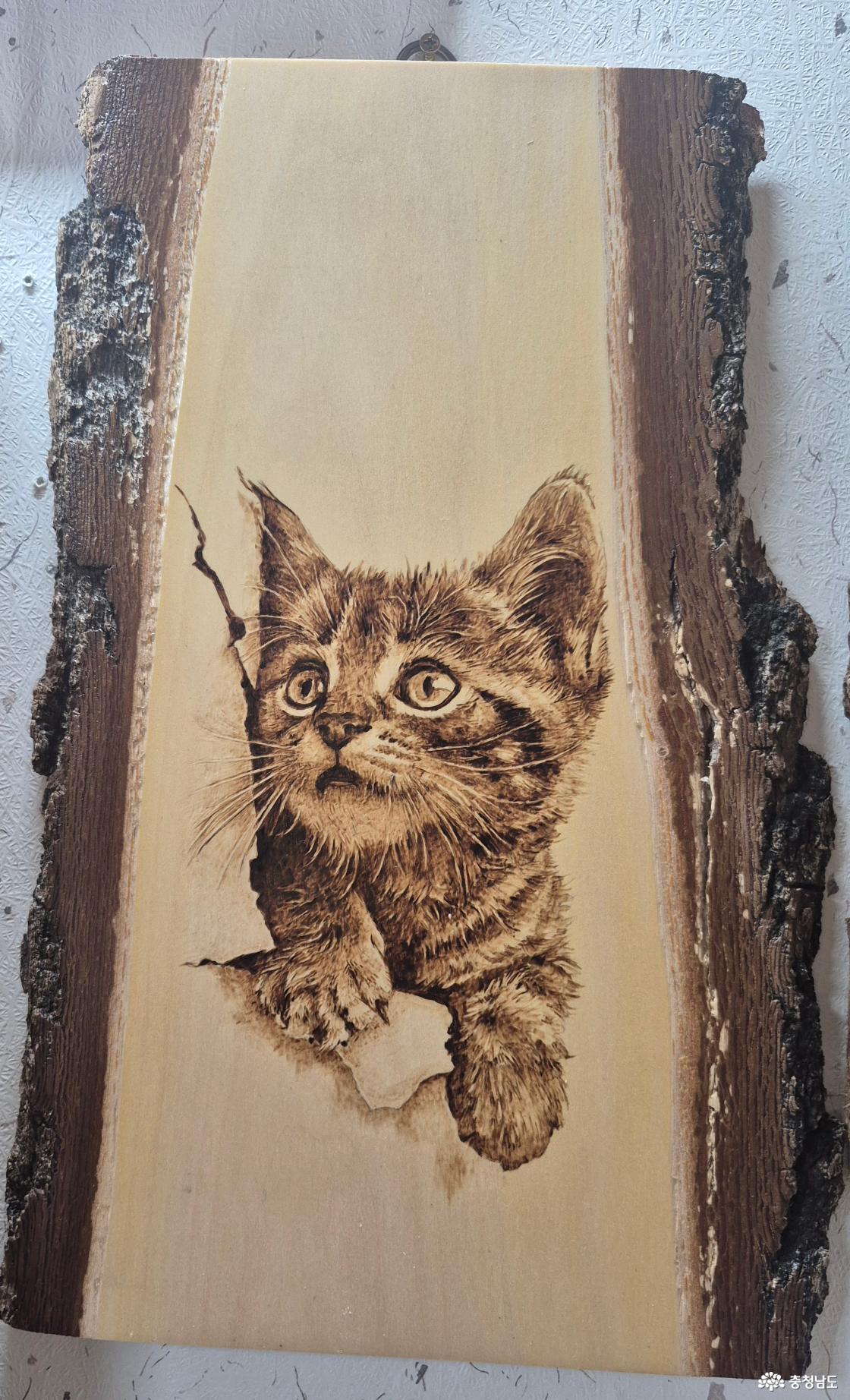 김서연 작가의 작품 '시선' 작가의 말- 동네 길냥이 보다가 떠올라서 그렸어요 고양이는 눈앞에 보이는것 보다 소리에 더민감하더라구요 멀리서 자기 귀에 들리는 소리에 긴시선을두더라구요