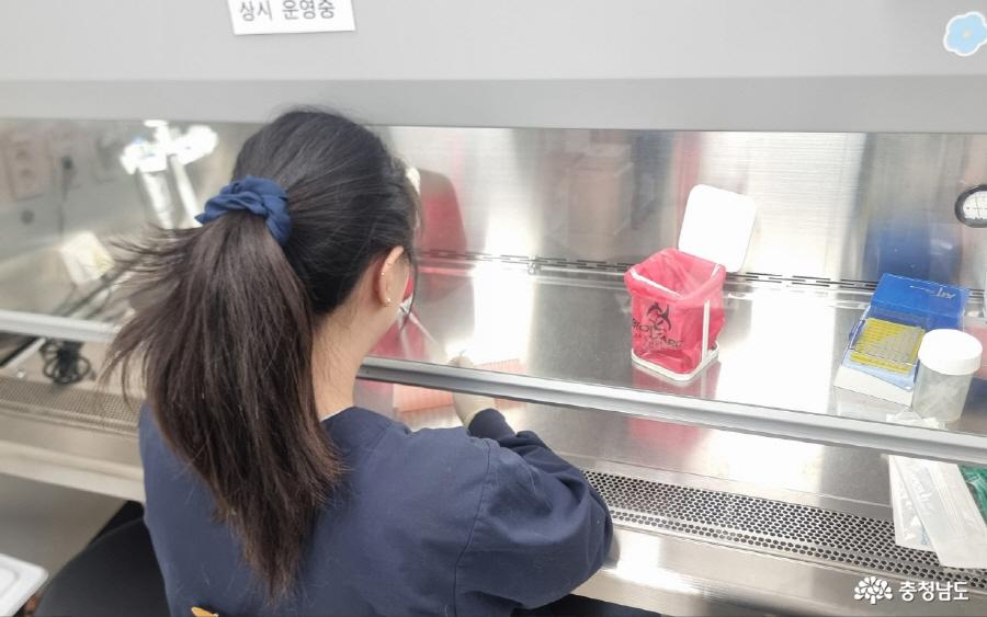 인플루엔자 검사 모습