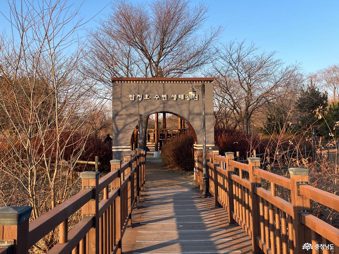 호수와 계절이 그려낸 풍경, 탑정호 수변공원 산책기