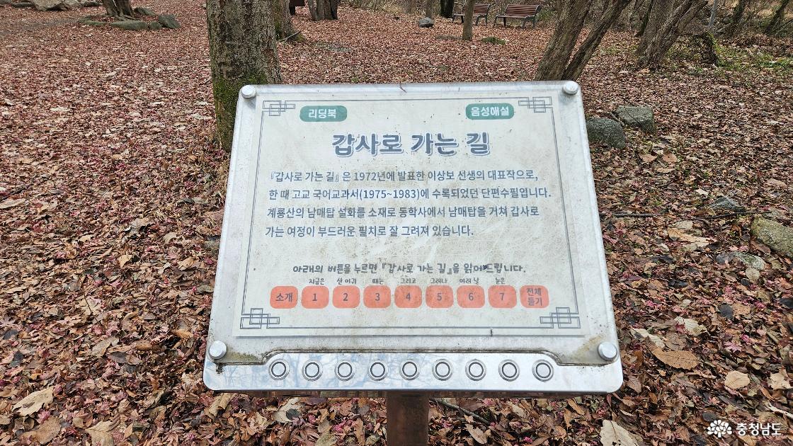 고등학교 교과서에도 실렸던 수필 '갑사로 가는 길'에 대한 설명도 사진임