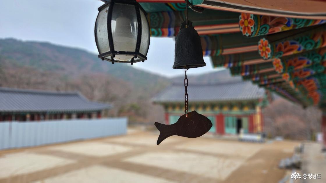 갑사 대웅전 앞 처마에 달린 물고기 모양 풍경 사진임