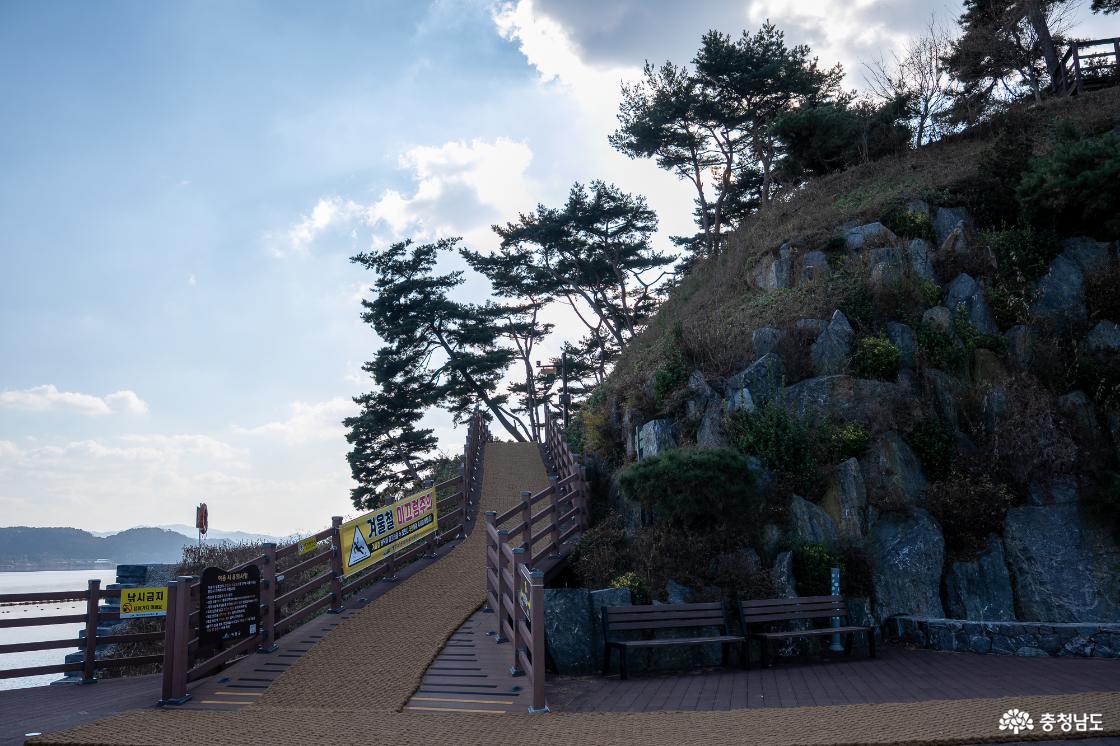 예당호 출렁다리 산책길