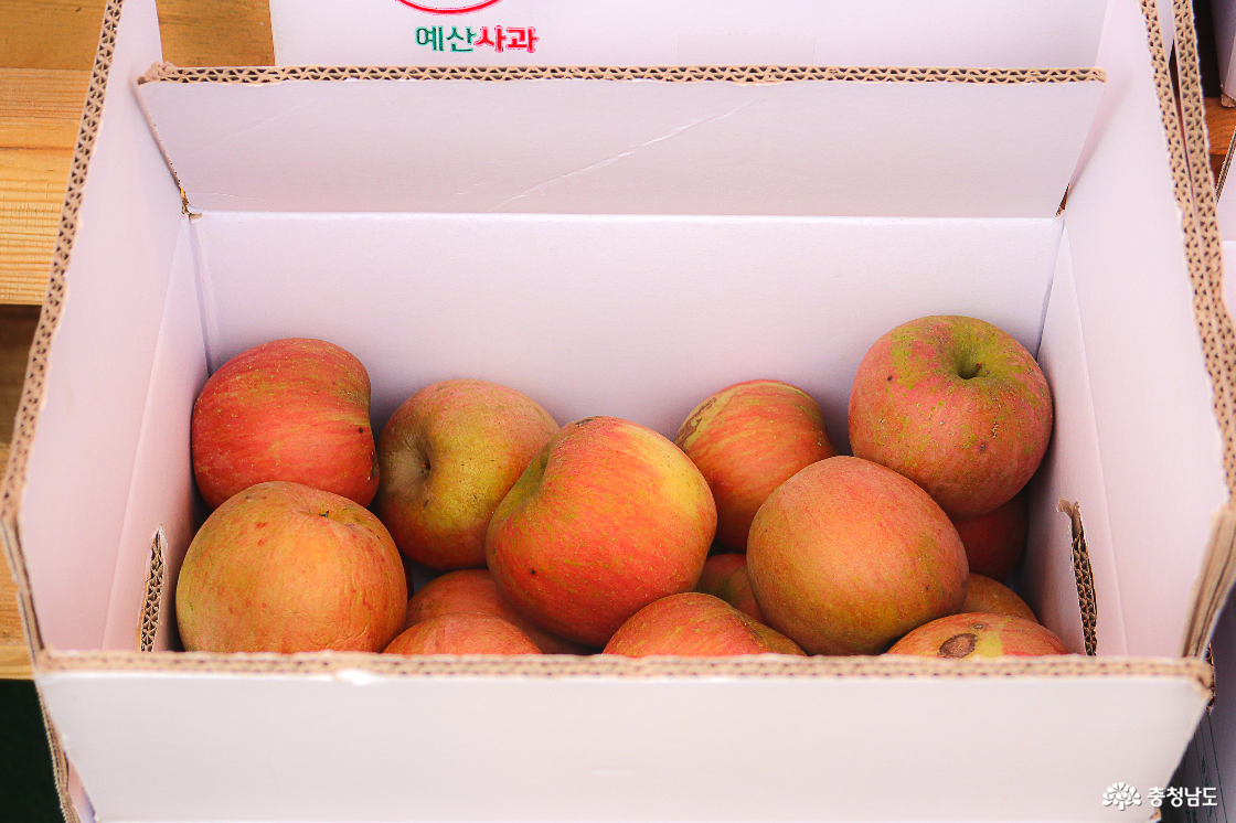 지역 특산품 예산 사과와 사과즙2